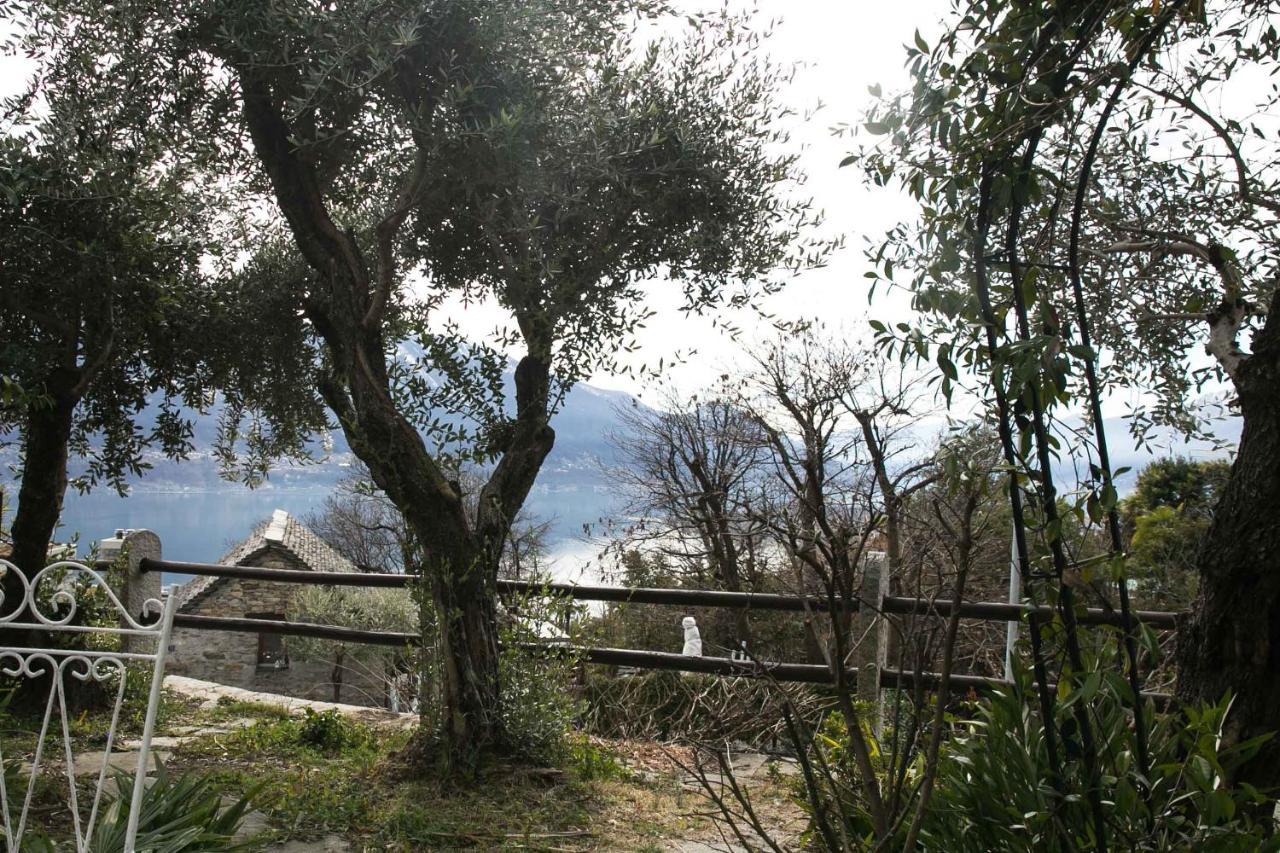 Casa Alma Grotto Daire Brione sopra Minusio Dış mekan fotoğraf