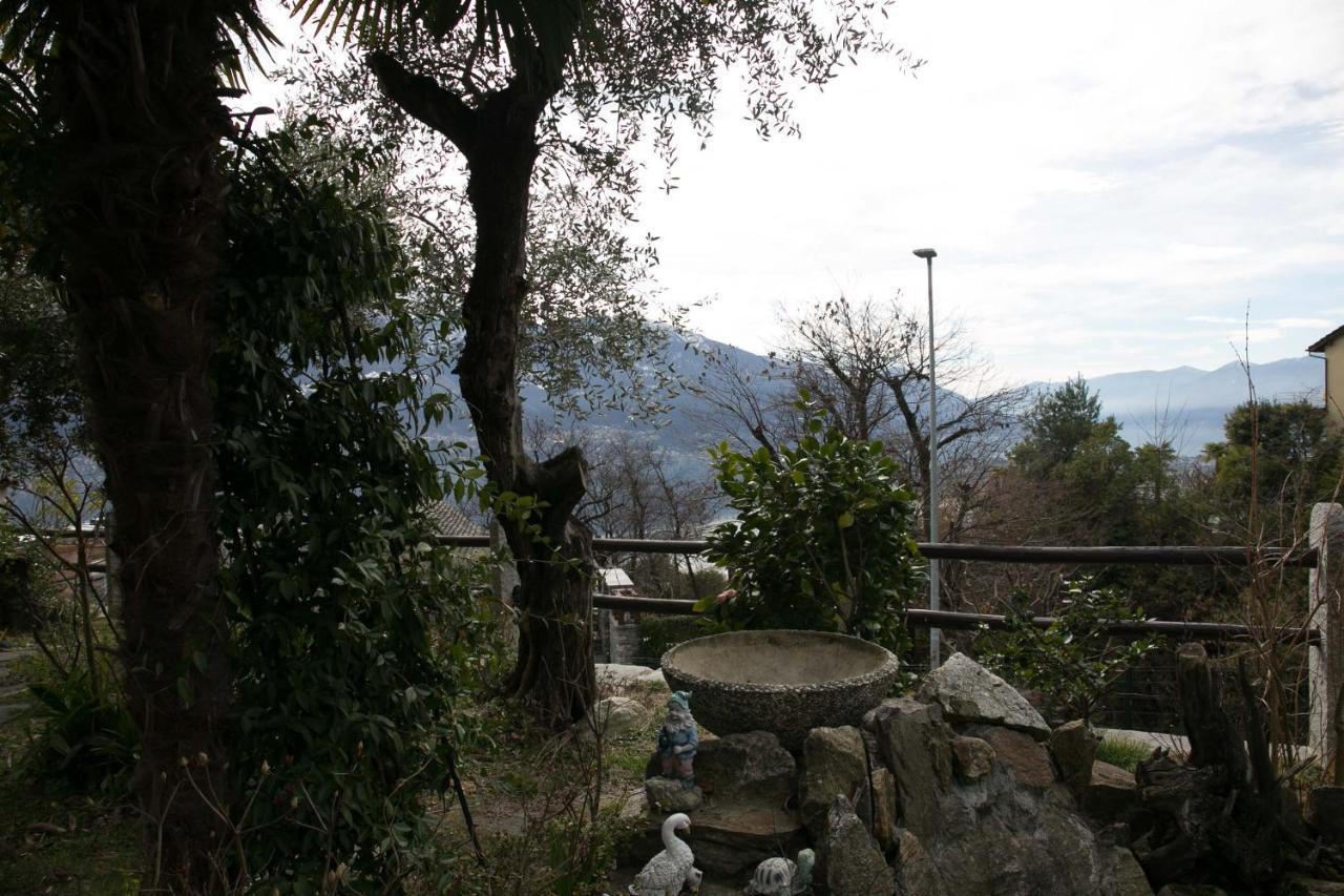 Casa Alma Grotto Daire Brione sopra Minusio Dış mekan fotoğraf
