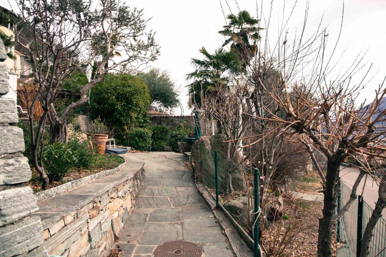 Casa Alma Grotto Daire Brione sopra Minusio Dış mekan fotoğraf