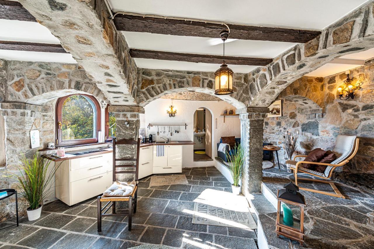 Casa Alma Grotto Daire Brione sopra Minusio Dış mekan fotoğraf
