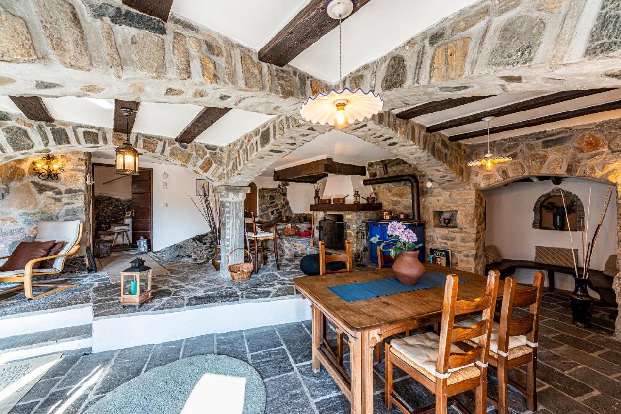 Casa Alma Grotto Daire Brione sopra Minusio Dış mekan fotoğraf
